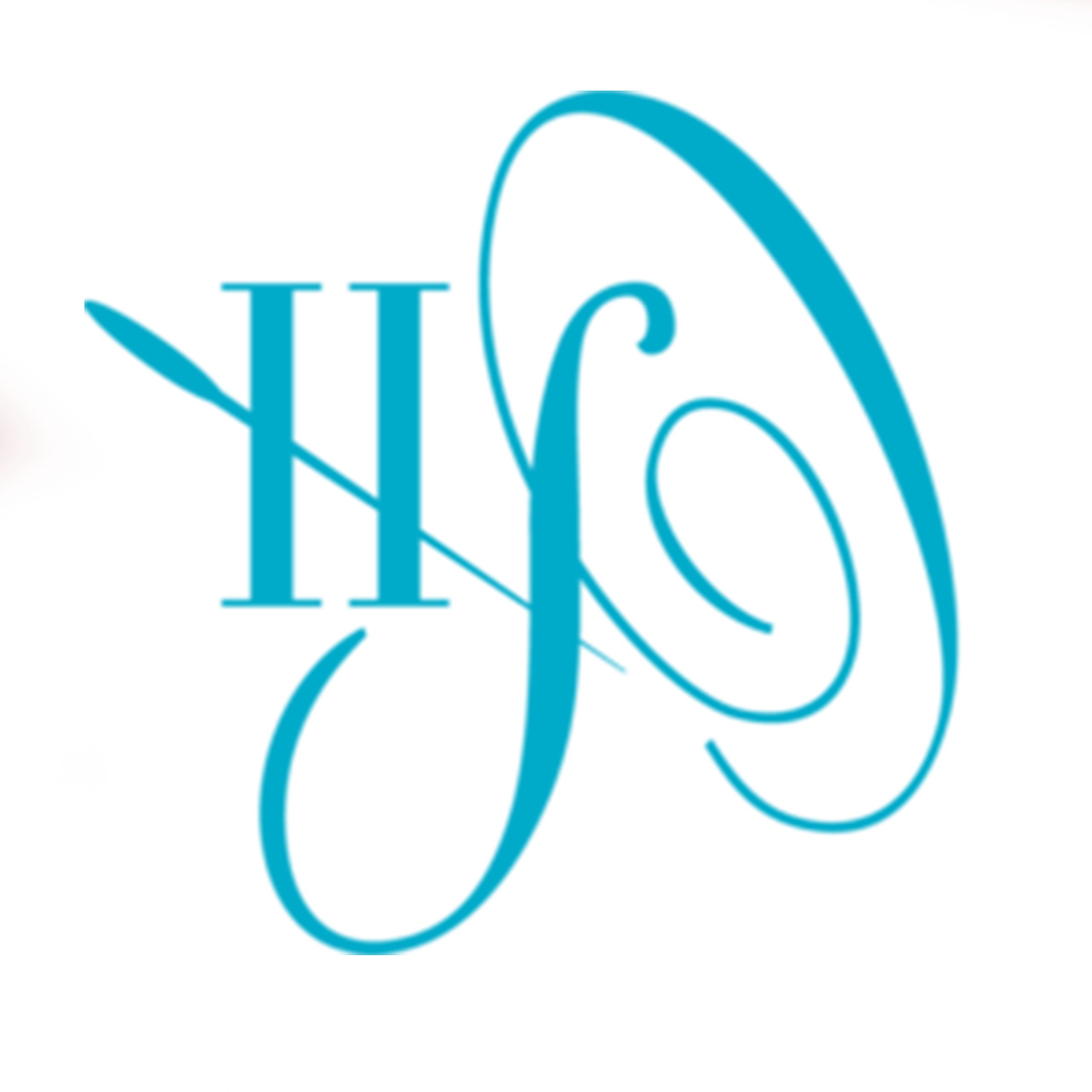 HSO logo01
